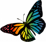 Graphic of a rainbow-colored butterfly.