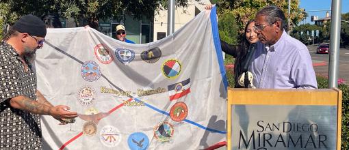 Flag raising