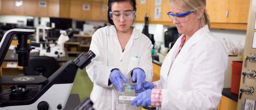 Bio Tech